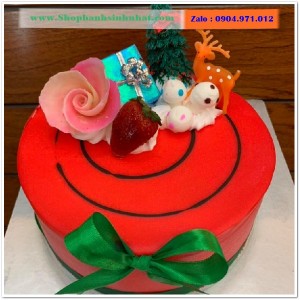 Bánh Kem Tặng Ngày Giáng Sinh - BR03